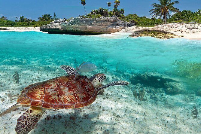 Tulum Ruins - Akumal & Cenote - FAQ