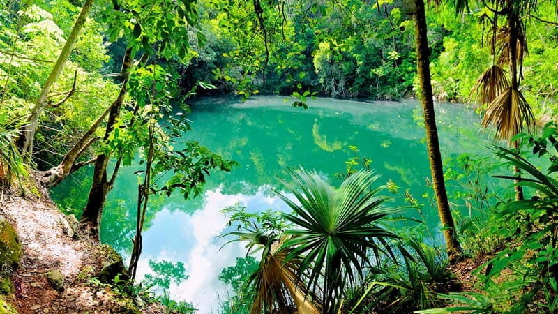 Tulum Ruins and Cenote - Private Guided Tour - FAQ