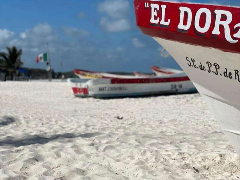 Tulum: Ruins by Boat, Swim with Turtles & Cenote Tour - A Deep Dive into the Tulum: Ruins by Boat, Swim with Turtles & Cenote Tour