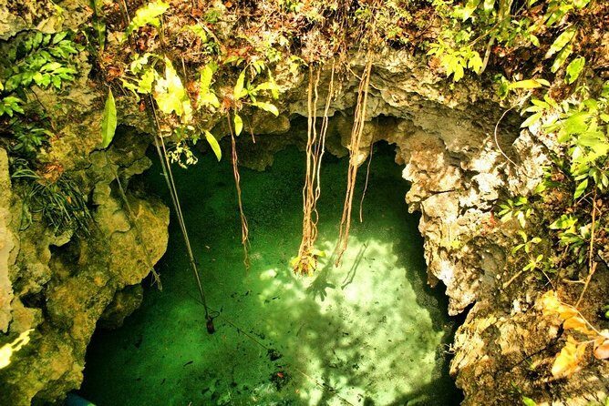 Tulum Ruins & Cenote guided private tour from Tulum and Riviera Maya. - What Makes the Cenote Special?