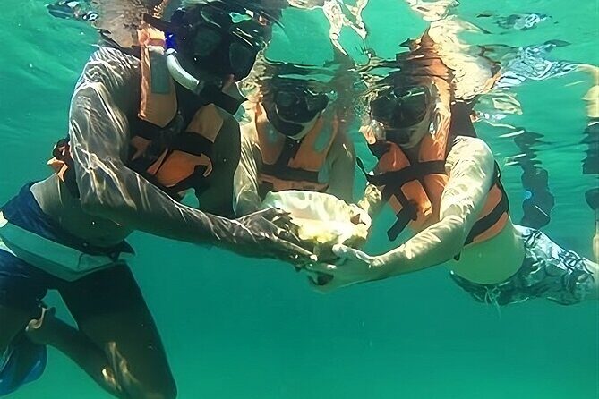 Tulum: Ruins, Reef & Cenote Small Group Day Trip - Frequently Asked Questions