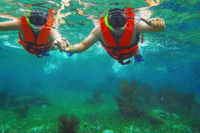 Tulum Ruins Snorkel with Sea Turtle and Cenotes Private Tour - A Closer Look at What This Tour Offers