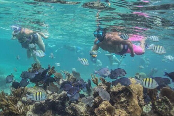 Tulum Ruins Snorkel with Sea Turtle and Cenotes Private Tour - Who Would Love This Tour?