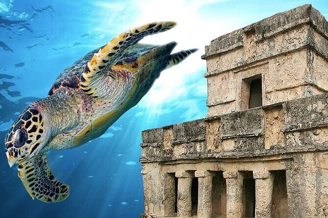 Tulum Ruins & Snorkeling with Sea Turtles Private Tour - FAQ