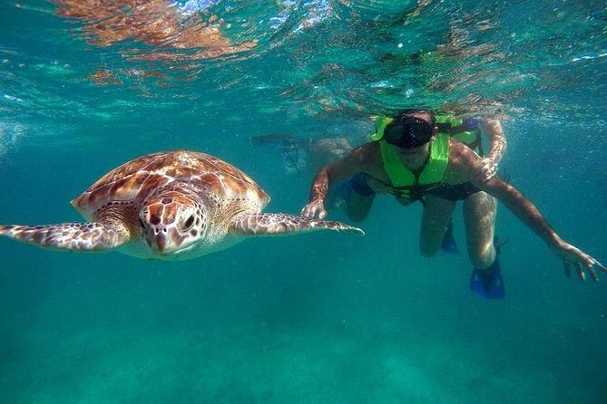 Tulum ruins swim with turtles in Akumal and Cenote - Final Thoughts: Who Should Consider This Tour?