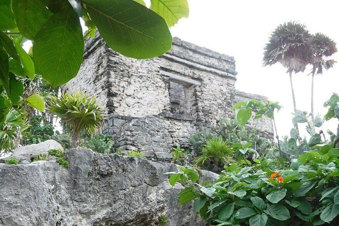 Tulum Ruins Tour (Private, Half Day) - The Cost and Value