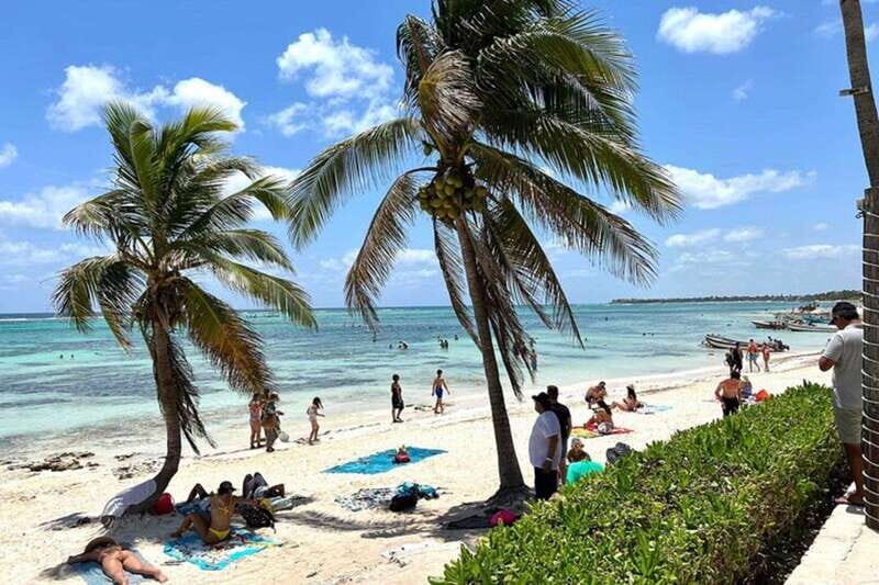 Tulum: Ruins, Turtles & Cenotes Adventure - What to Expect at Each Stop