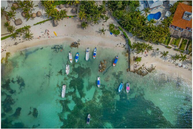 Tulum Ruins, Turtles in Akumal and Cenote tour - Key Points