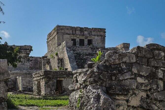 Tulum Ruins, Turtles in Akumal and Cenote tour - The Details of the Tour: What to Expect