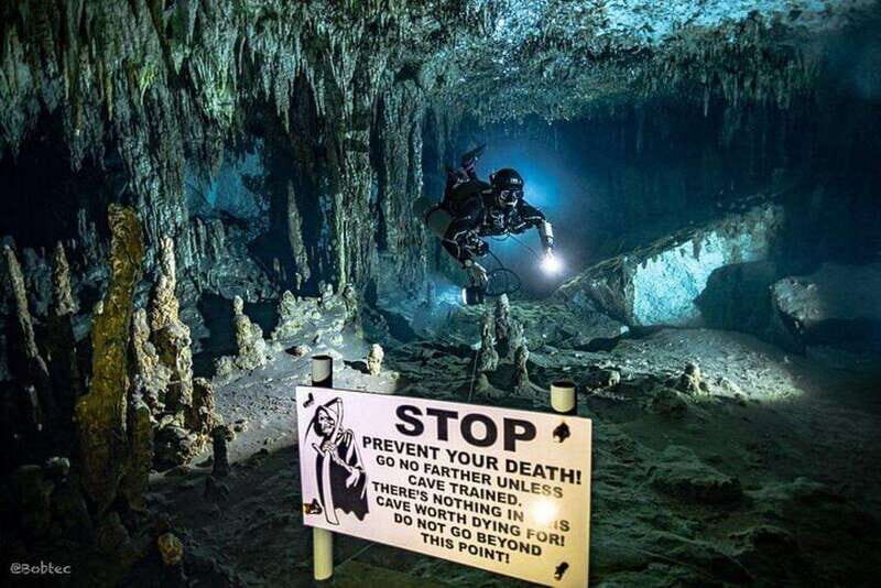 Tulum: Scuba Diving in the Mystical Cenotes - Overall Experience and Who It’s Best For