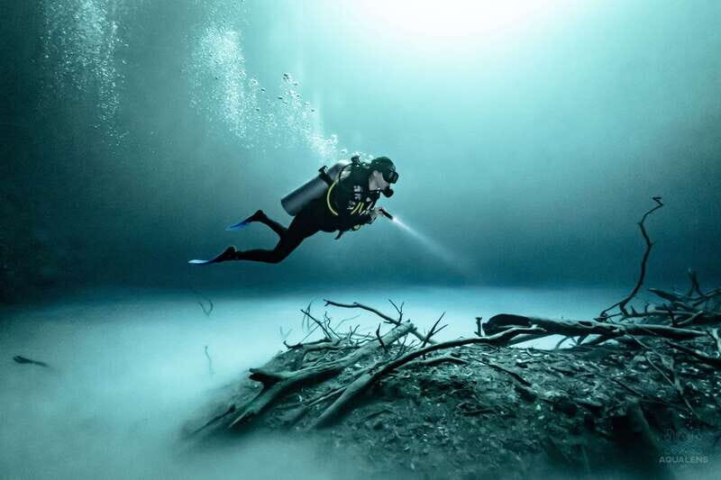 Tulum : Scuba in 2 cenotes including a deep one Pit Dos Ojos - An In-Depth Look at the Tulum Cenote Diving Experience