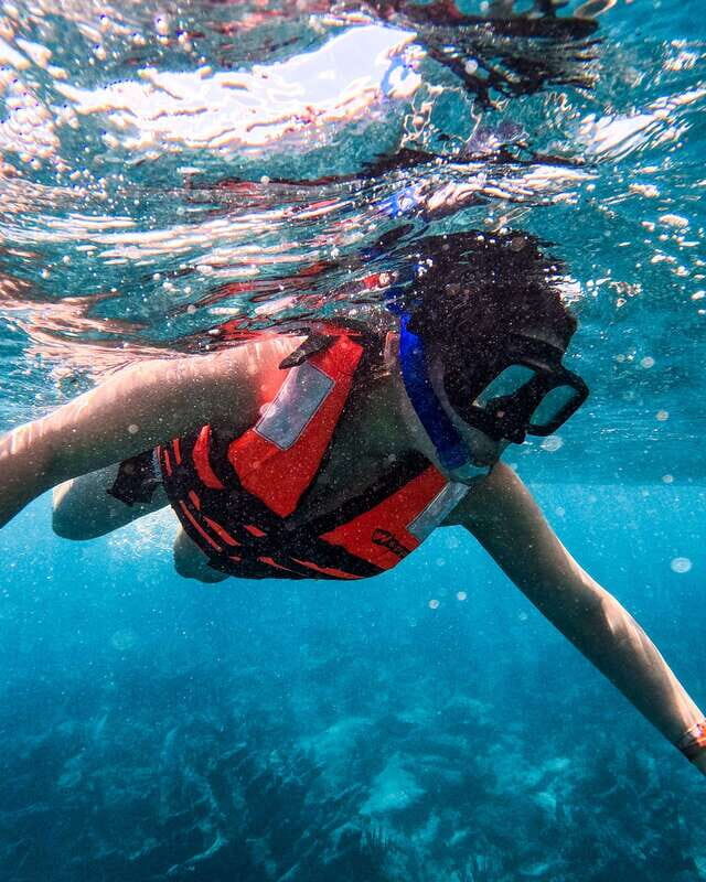 Tulum: Snorkeling at Paradise Reef - What You Can Expect from the Snorkeling Tour