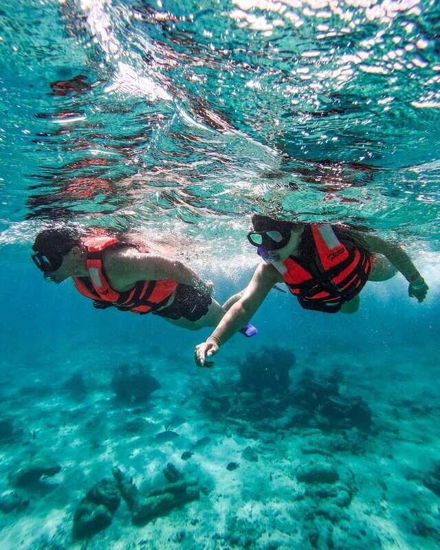 Tulum: Snorkeling at Paradise Reef - The Experience in Real Life
