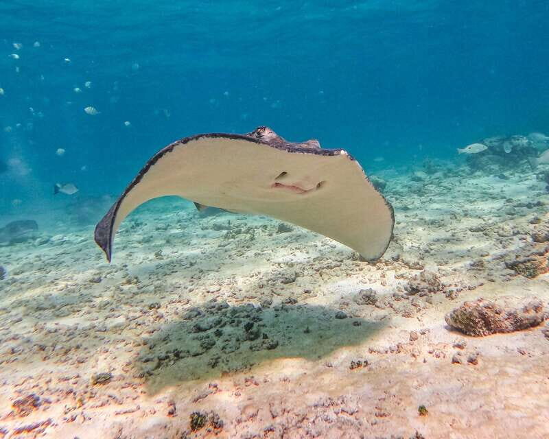 Tulum: Snorkeling at Paradise Reef - Final Thoughts