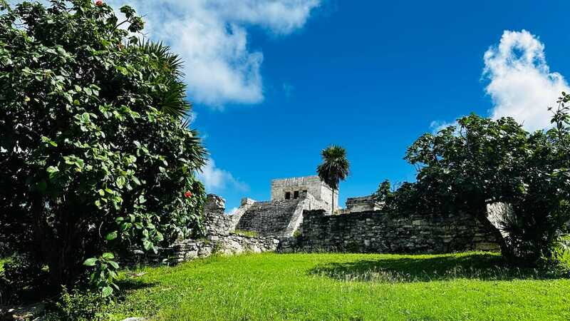 Tulum, Snorkeling & Cenote Adventure - Who This Tour Is Best For