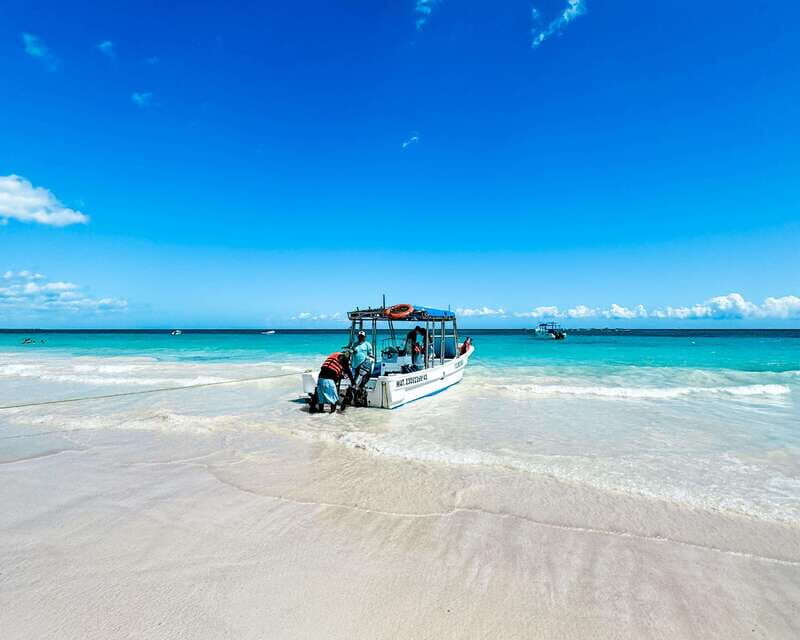 Tulum: Sport Fishing Experience with Ceviche - Practical Details and Tips