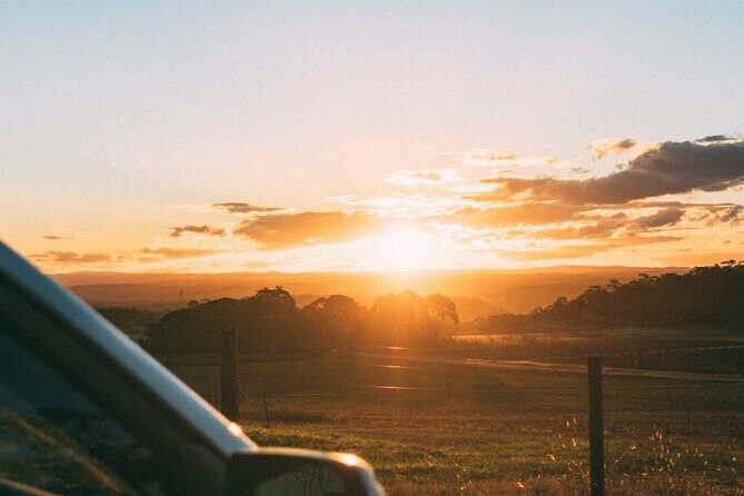 Tulum to Playa del Carmen - Private Transfer with Optional Sightseeing - A Detailed Look at the Experience