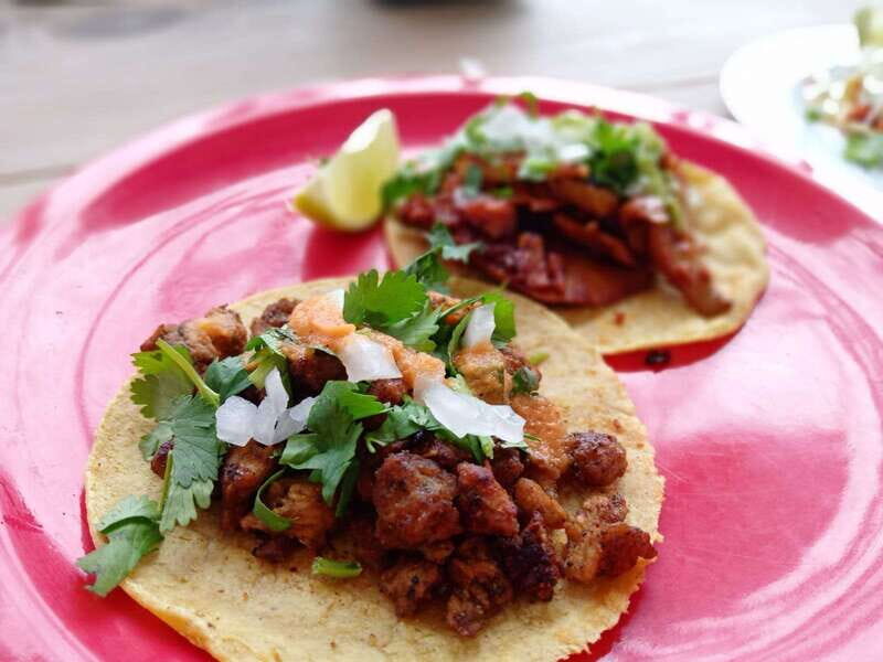 Tulum: Vegan Walking Food Tour with Tasting - Key Points