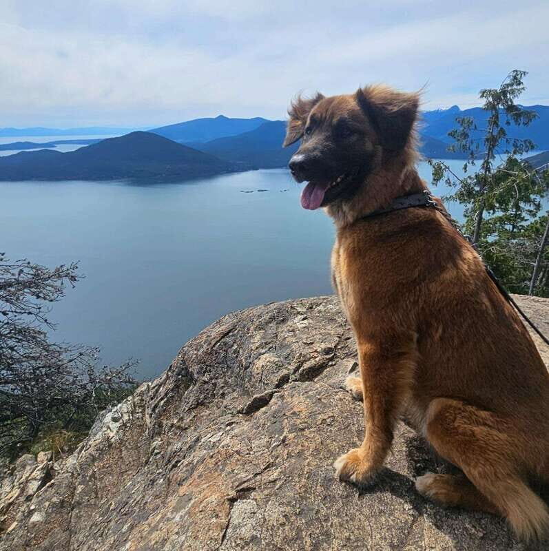 Tunnel Bluffs Hiking Day Trip- Vancouver - An In-Depth Look at the Tunnel Bluffs Hiking Tour