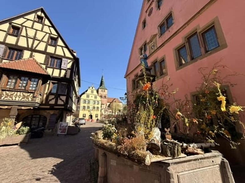 Turckheim: the town where the dragon sleeps, walking tour - A Guided Walk Through Turckheim: What to Expect