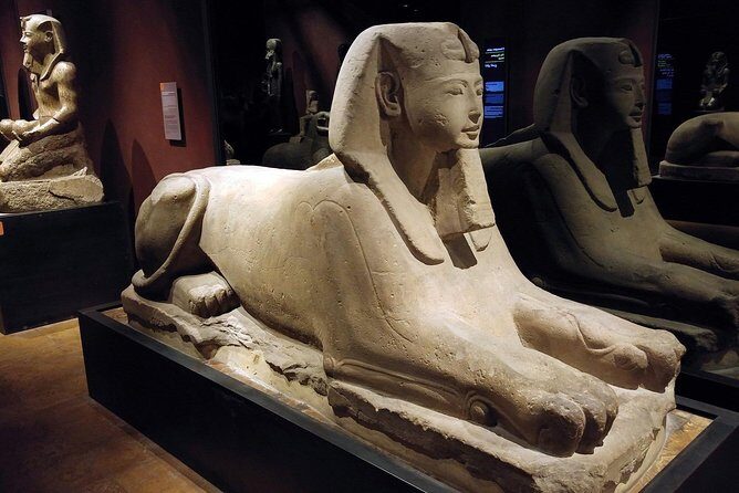 Turin: Egyptian Museum 2-hour monolingual guided experience - The Review Highlights from Visitors