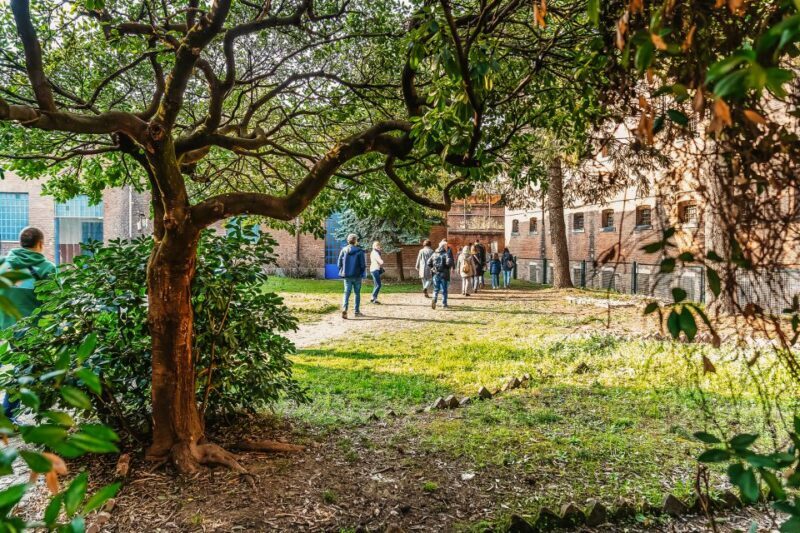Turin: Underground Tunnels Guided Tour - Key Points