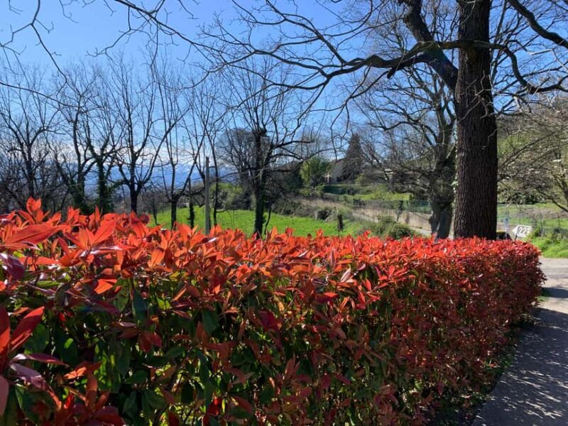 Turin: Urban Hills Hiking and Wellness Tour - Key Points