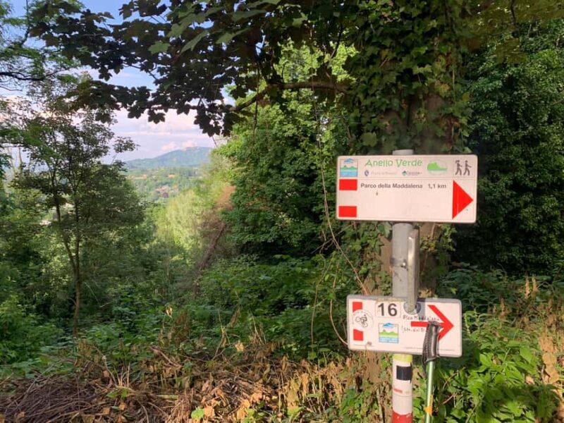 Turin: Urban Hills Hiking and Wellness Tour - The Practical Details