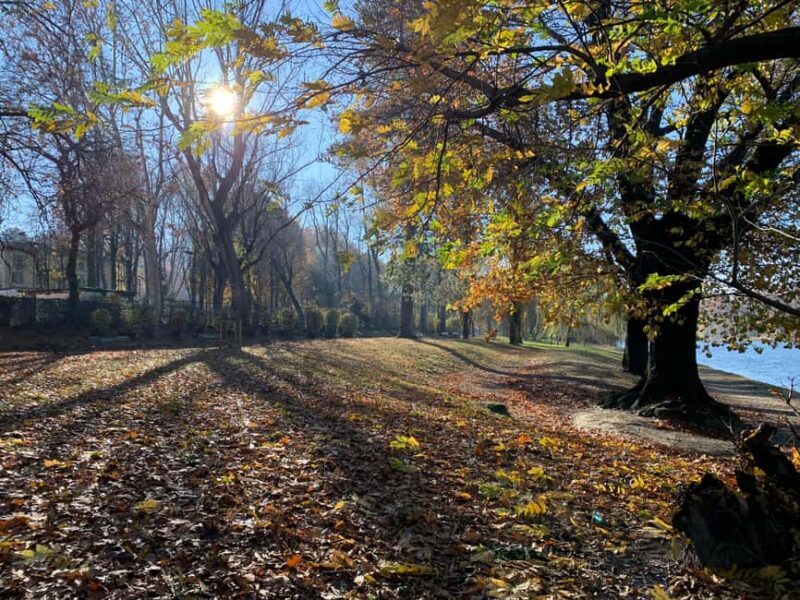 Turin: Urban Hills Hiking and Wellness Tour - The Experience from Other Travelers