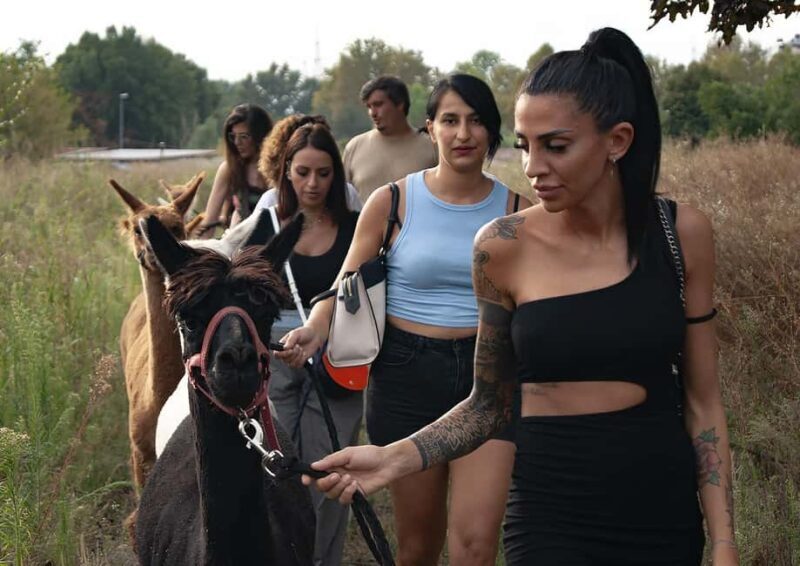 Turin: Walk with Monviso Alpacas in a green city park - Final Thoughts