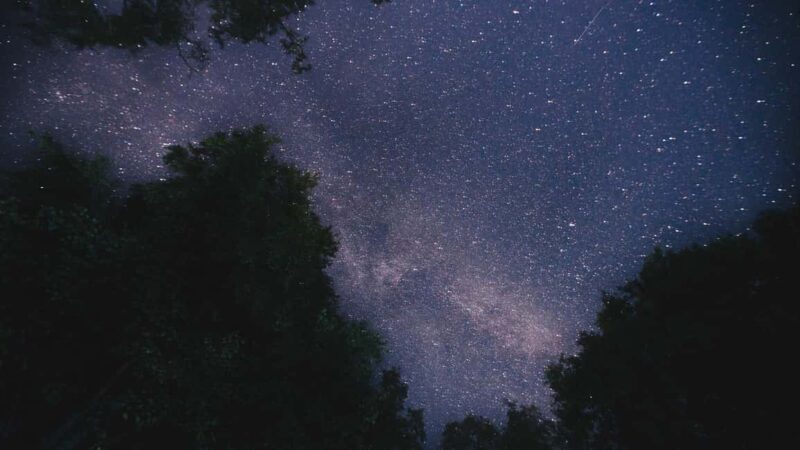 Turku: Gems of the Archipelago Sea 3-Day Kayaking Tour - Discovering the Finnish Archipelago: What to Expect