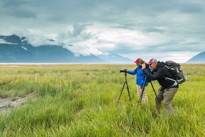 Turnagain Arm Highlights Photo Tour - The Itinerary in Detail