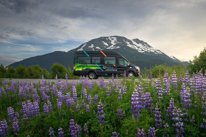 Turnagain Arm Highlights Photo Tour - The Experience and Group Dynamics