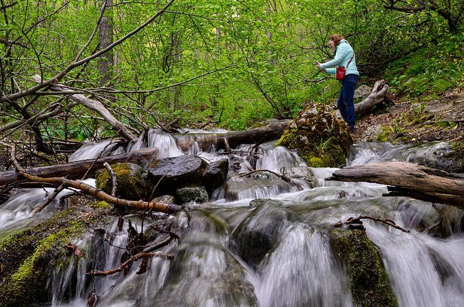 Turnagain Arm Highlights Photo Tour - How Does It Rate for Photography and Sightseeing?