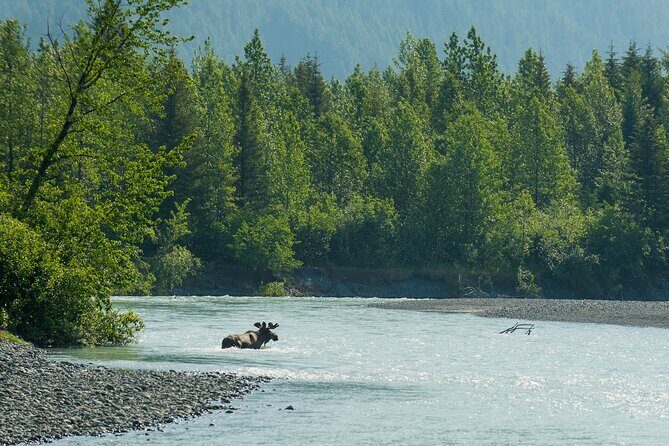 Turnagain Arm Highlights Photo Tour - Is This Tour Suitable for You?