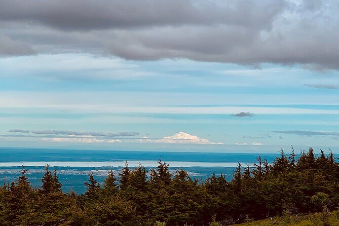 Turnagain Arm Sightseeing Experience and Wildlife Tour - Who Is This Tour Best Suited For?