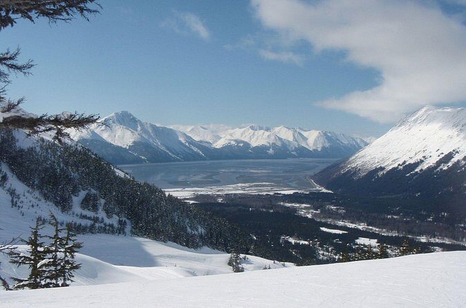 Turnagain Arm Winter Scenic Tour - Who Is This Tour Best For?