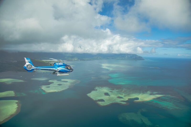 Turtle Bay: North Shore Helicopter Tour - What to Expect from the North Shore Helicopter Tour