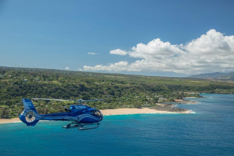 Turtle Bay: North Shore Helicopter Tour - Who Should Consider This Tour?
