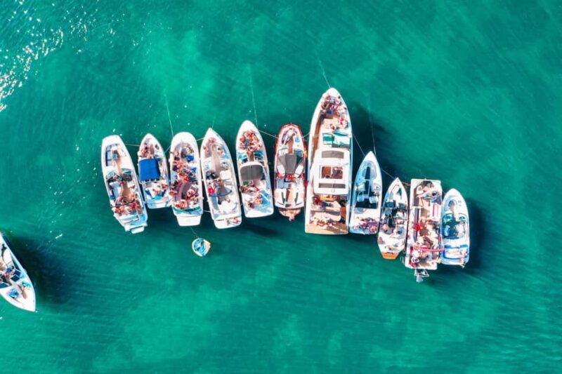 TURTLE BOAT TOUR - The Value of This Tour