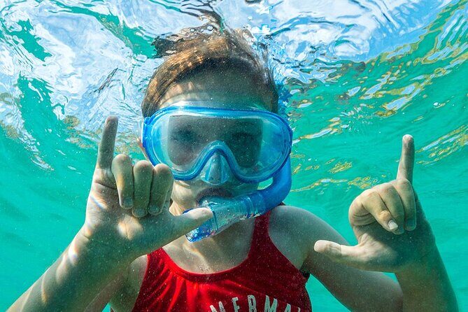 Turtle Canyon Waikiki Snorkel Adventure - Real Experiences from Reviewers