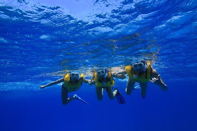 Turtle Canyons Snorkel Excursion from Waikiki, Hawaii - Frequently Asked Questions