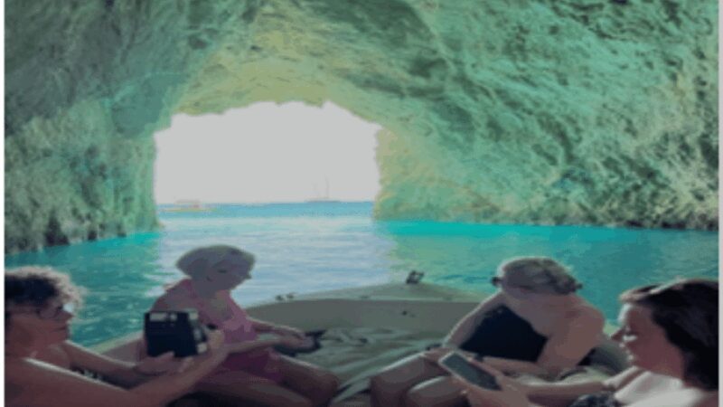 Turtle Cruise from 9 am or 12 noon or 3 pm for 3 hours - What’s Included and What to Expect