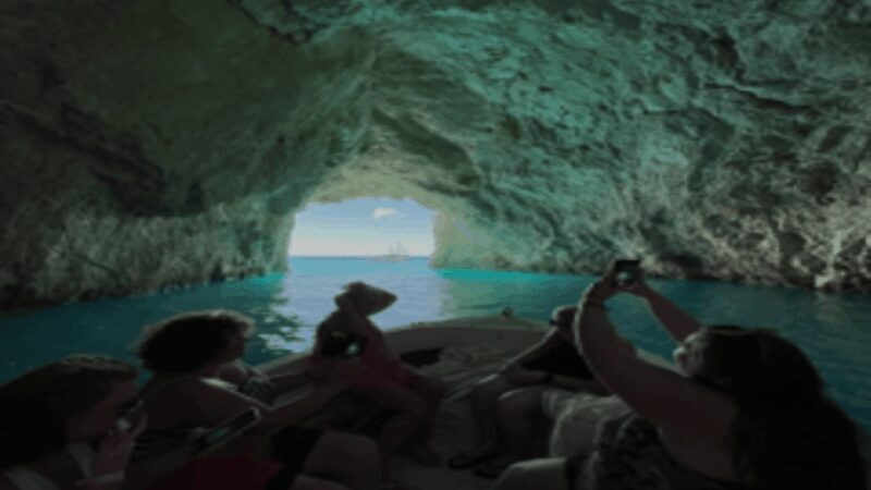 Turtle Cruise from 9 am or 12 noon or 3 pm for 3 hours - Is This Tour Worth It?