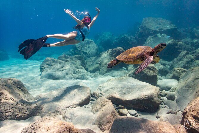 Turtle Gardens West Maui Snorkel Tour - Key Points