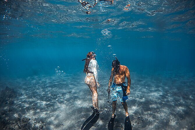 Turtle Gardens West Maui Snorkel Tour - What’s Not Included and Tips for Participants