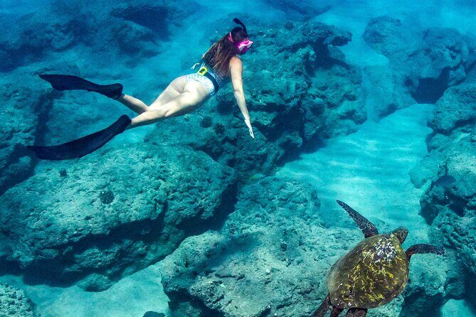 Turtle Gardens West Maui Snorkel Tour - Frequently Asked Questions