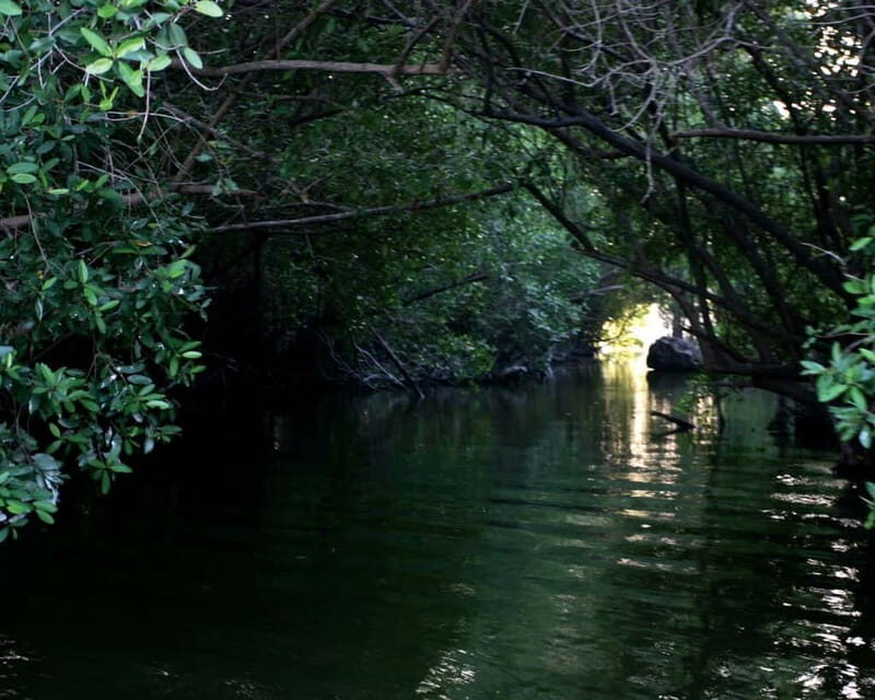 *Turtle Hatching + 3 Palos Lagoon Boat Ride & Crocs Farm - FAQ