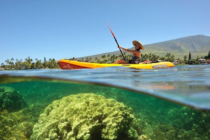 Turtle Reef Kayak Tour of Makena, Maui - The Bottom Line: Who Is This Tour Best For?