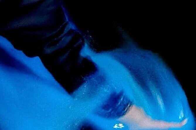 Turtle Release and Bioluminescence - Frequently Asked Questions